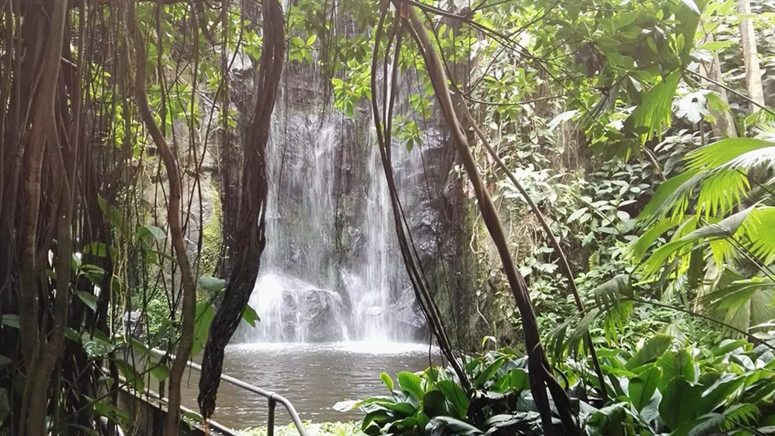 Ein Wasserfall im Burger's Zoo Arnhem