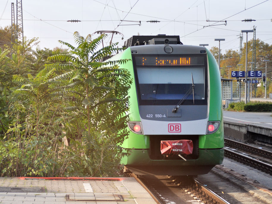 Eine grüne S-Bahn Rhein-Ruhr fährt in einen Bahnhof ein